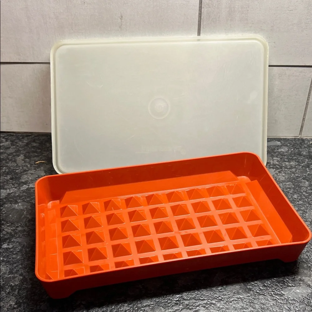 Tupperware Hot Dog Keeper Paprika Red and white Rectangular Container 10x6.